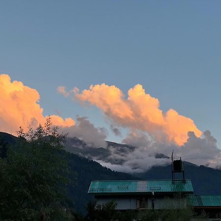 Trippy Turtle Hostel Manali  Exterior photo