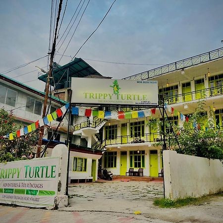 Trippy Turtle Hostel Manali  Exterior photo