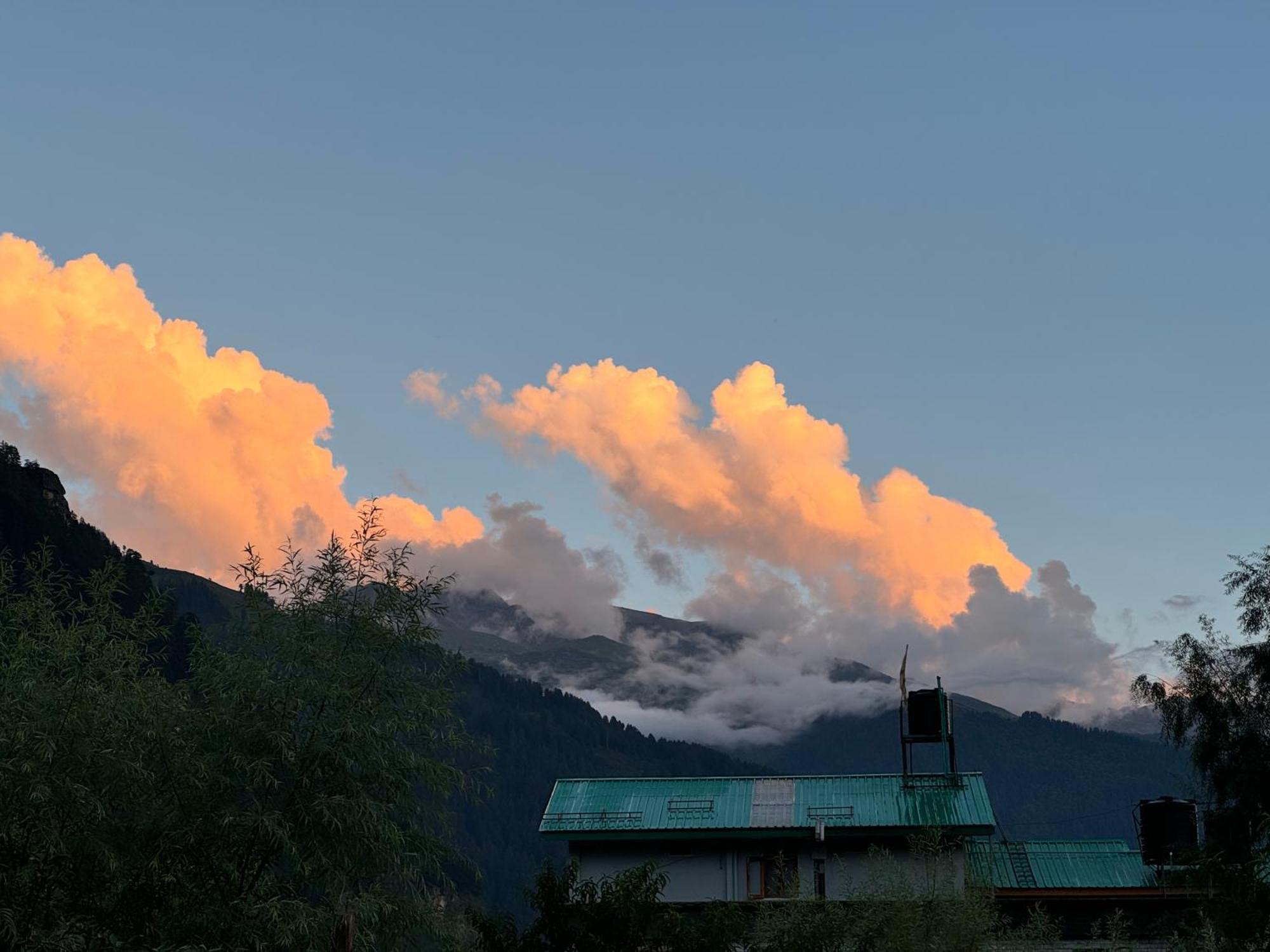 Trippy Turtle Hostel Manali  Exterior photo